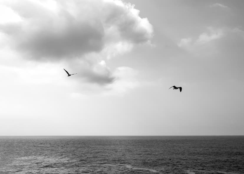 Полон счастья