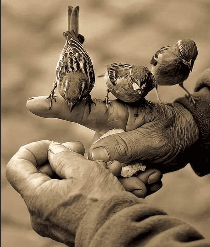 Никого не спасать