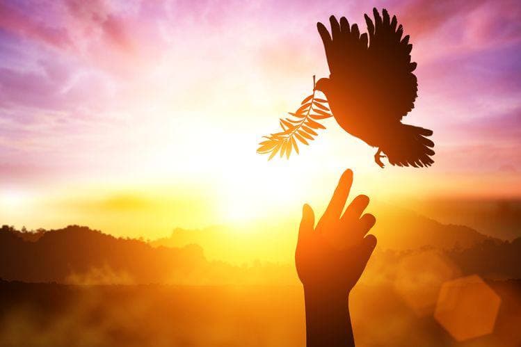 Внутренняя работа