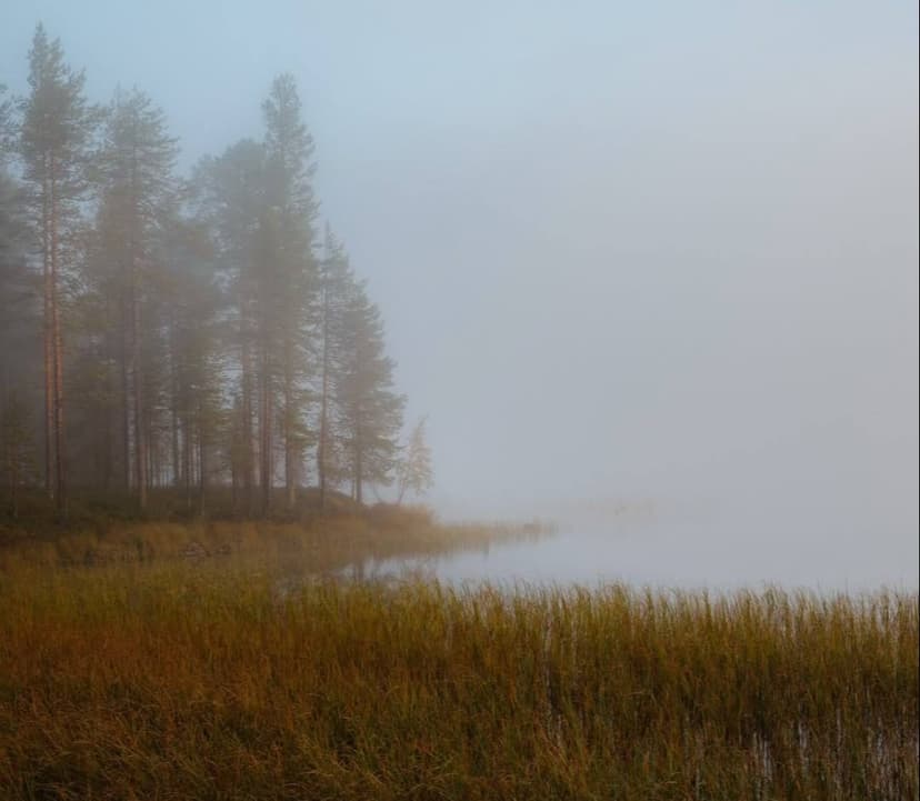 Мудрые становятся тихими