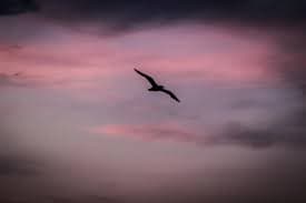 обновляя себя