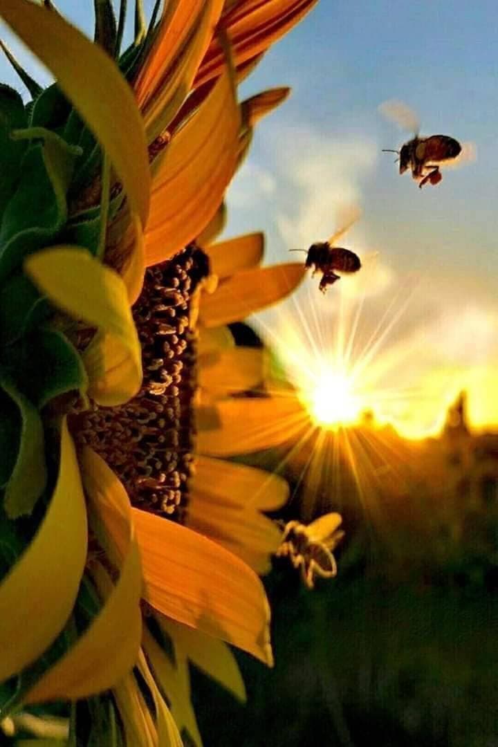 Я хочу обнять и зацеловать всех детей на планете