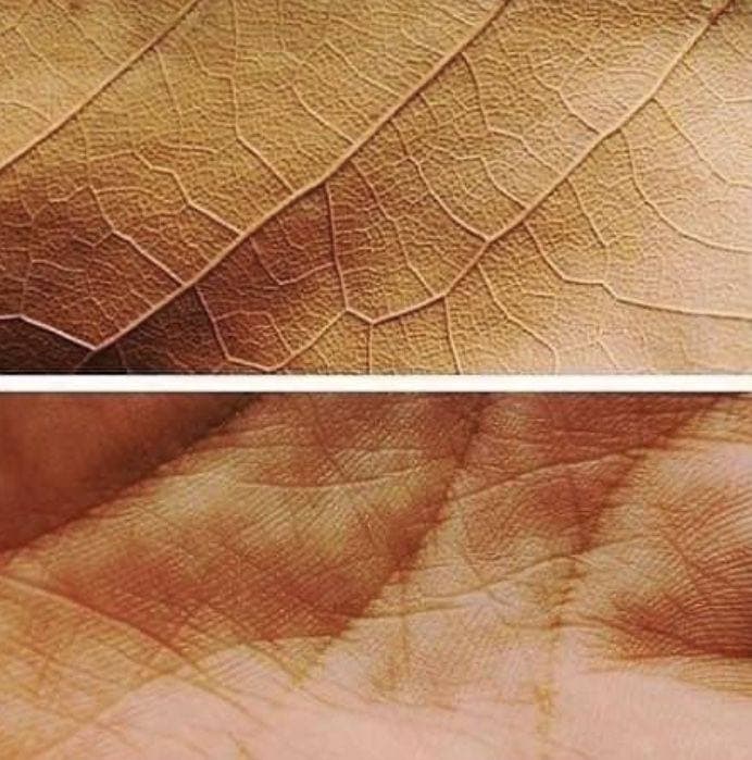 источник бесконечного наслаждения