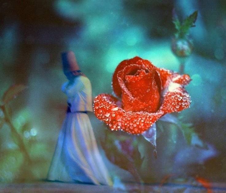 О любви и суфизме…(Или о творении и растворении мандалы)