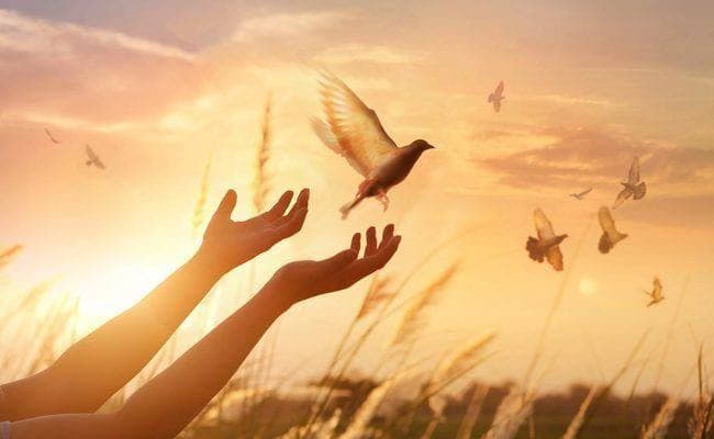 Неси свет и радость!