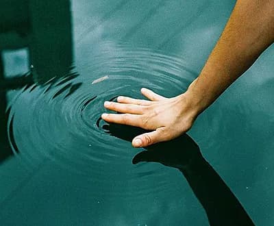 Биодинамика