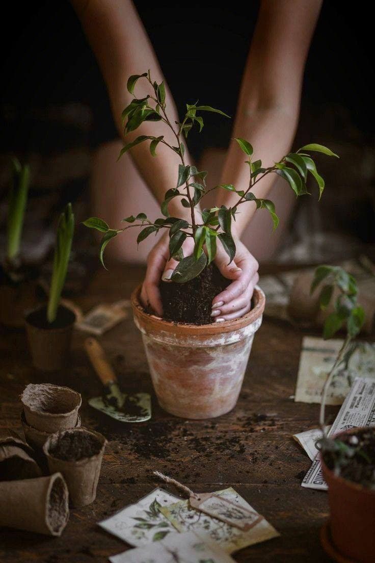 Мудрые мысли