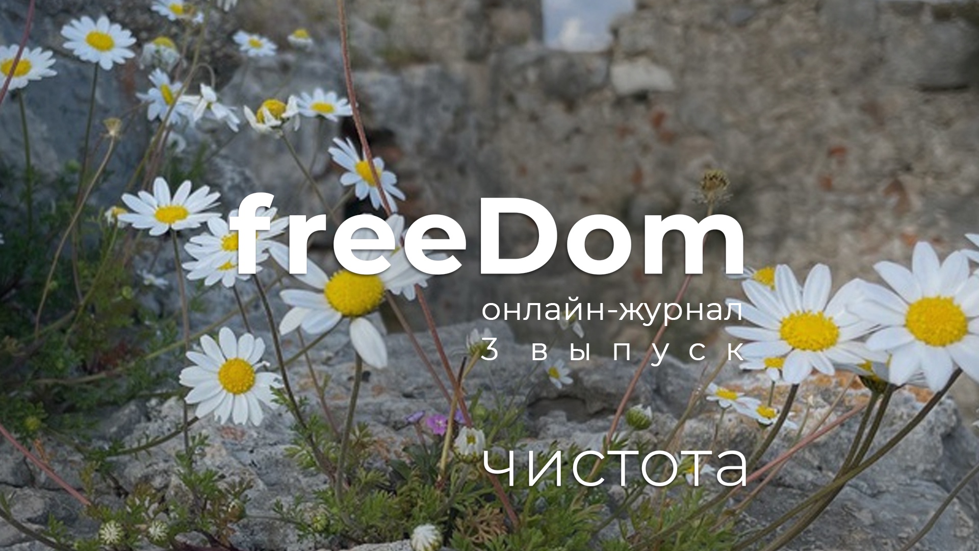 Чистота